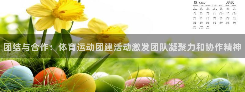 oety欧亿：团结与合作：体育运动团建活动激发团队凝聚力和协作精神
