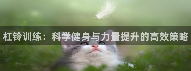 oety欧亿：杠铃训练：科学健身与力量提升的高效策略