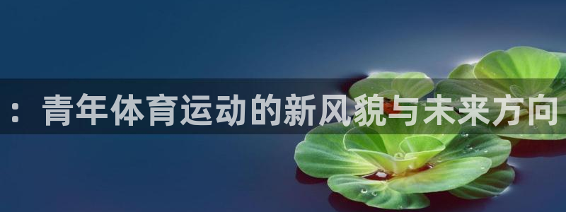 oety欧亿：：青年体育运动的新风貌与未来方向