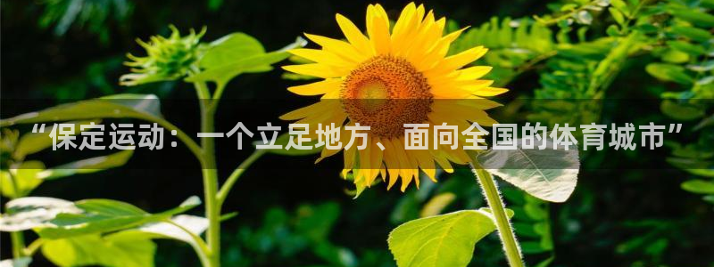 oety欧亿：“保定运动：一个立足地方、面向全国的体育城市”