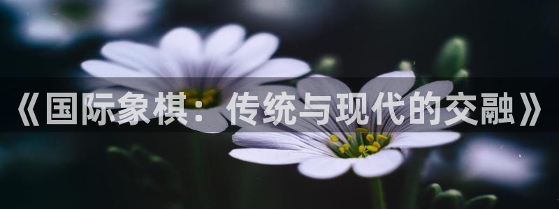 oety欧亿：《国际象棋：传统与现代的交融》