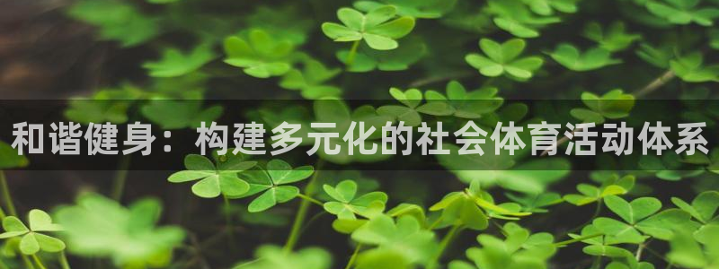 oety欧亿：和谐健身：构建多元化的社会体育活动体系
