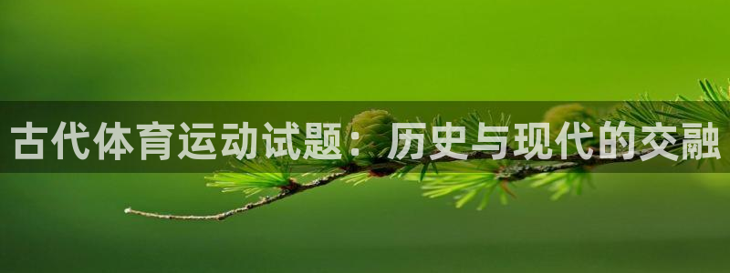 oety欧亿：古代体育运动试题：历史与现代的交融