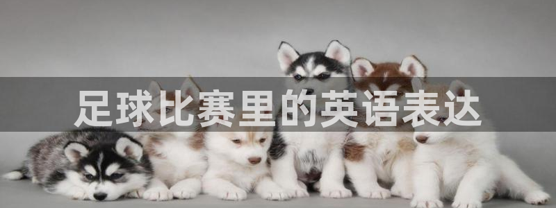 oety欧亿：足球比赛里的英语表达