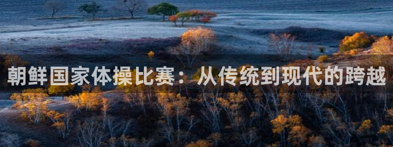 oety欧亿：朝鲜国家体操比赛：从传统到现代的跨越