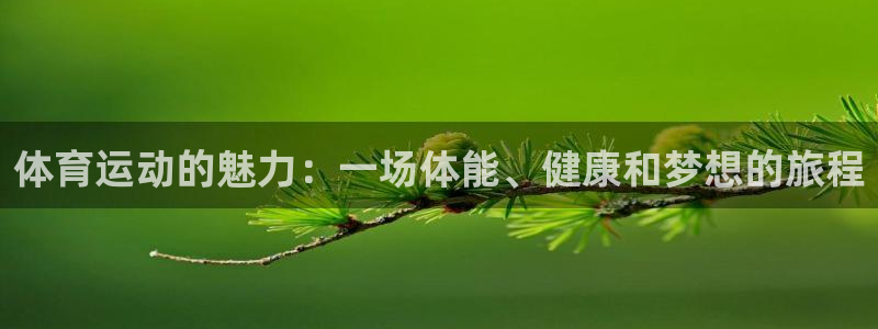 oety欧亿