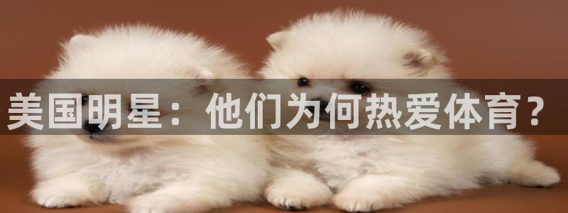 oety欧亿：美国明星：他们为何热爱体育？