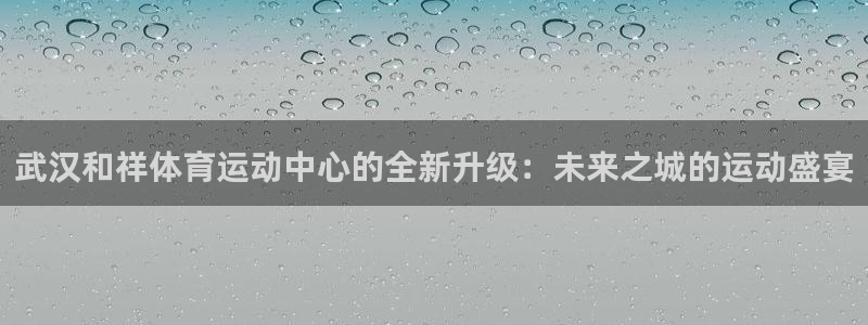 oety欧亿：武汉和祥体育运动中心的全新升级：未来之城的运动盛宴
