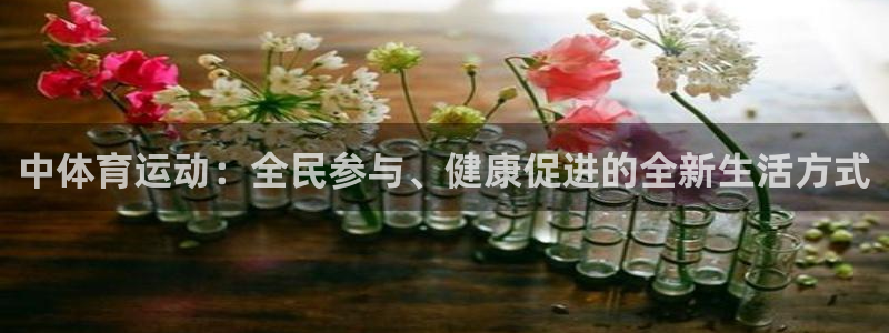 oety欧亿