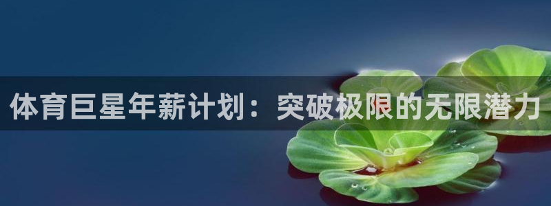 oety欧亿
