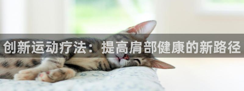 oety欧亿