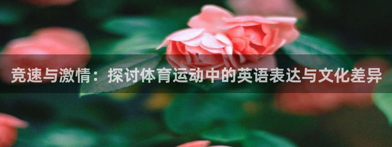 oety欧亿：竞速与激情：探讨体育运动中的英语表达与文化差异